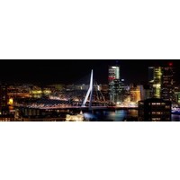 Erasmusbrug at night | Fotoprint