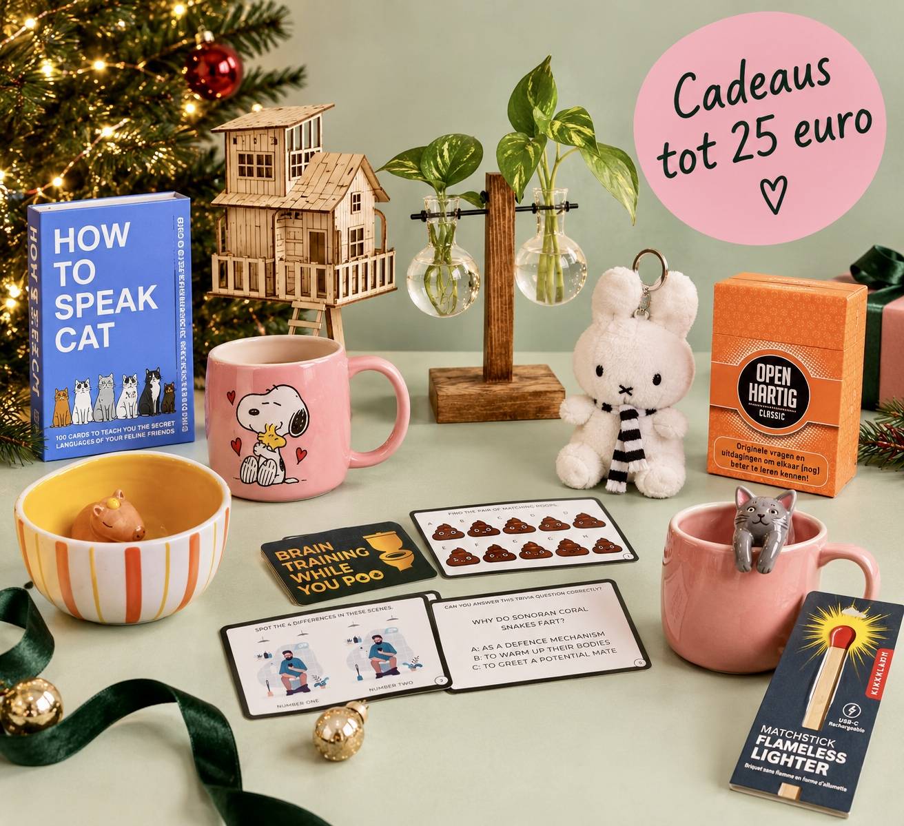 Cadeaus t/m 25,-