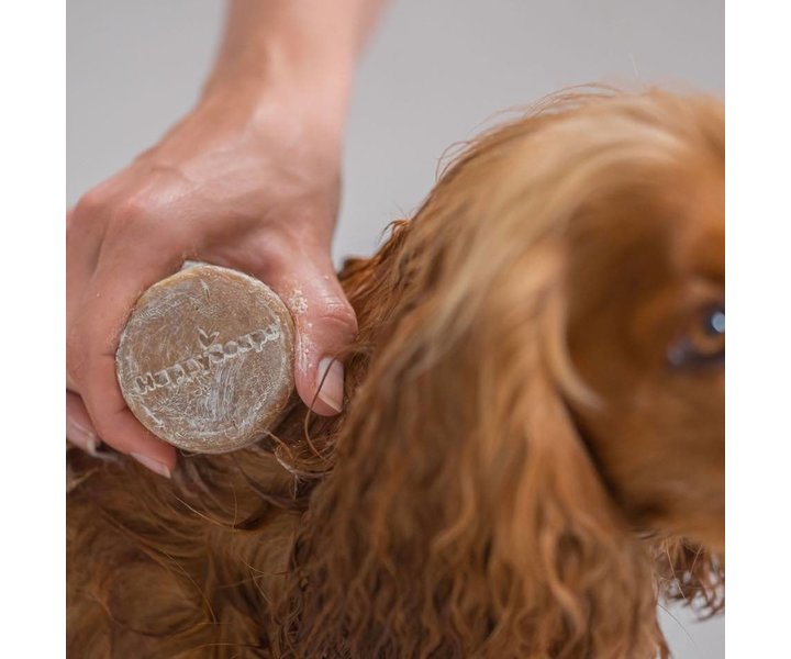Honden Lange Vacht Shampoo Bar - 70g