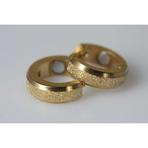 2012G Magnetschmuck Ohrring Gold