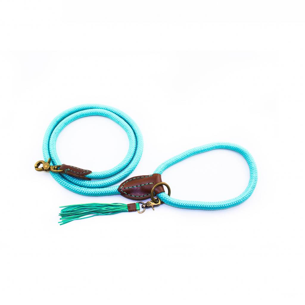 turquoise dog leash