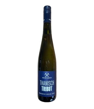 Mosel Riesling "Tribut' Grauschiefer Weingut Thanisch 2022
