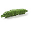 Silla Acapulco PVC Cord Coil olive green