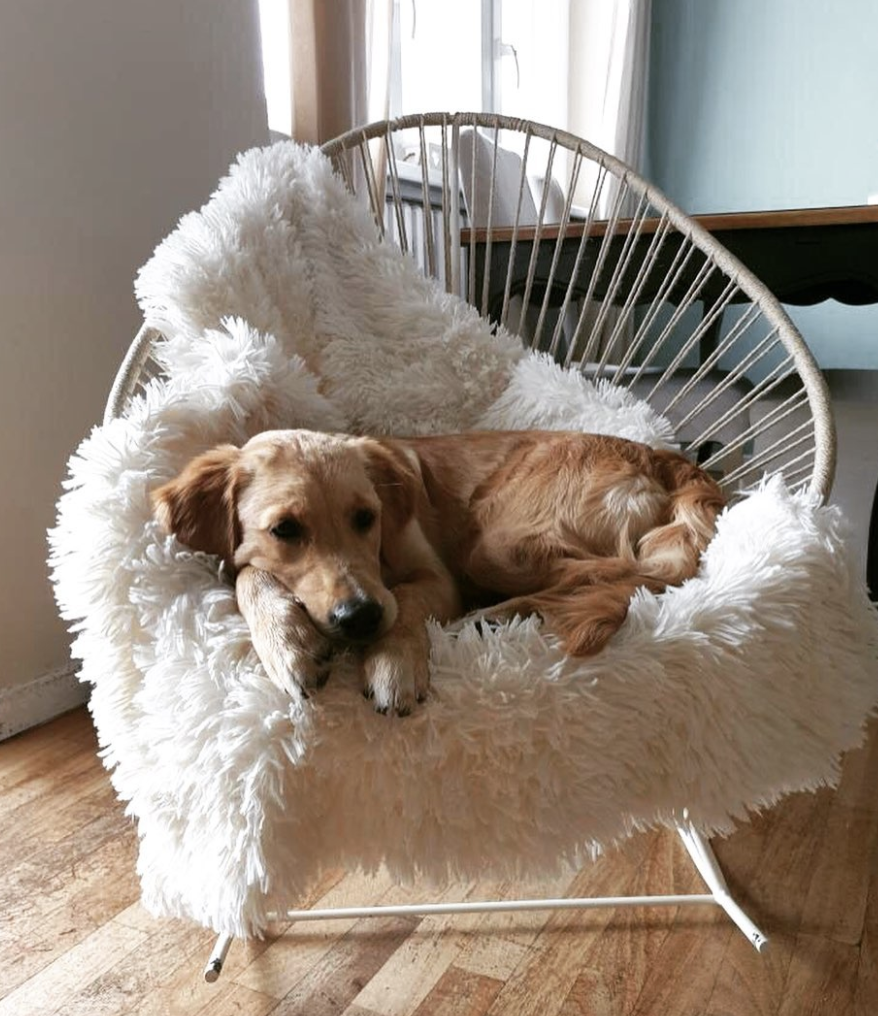 Acapulco Rocking Chair in Hemp