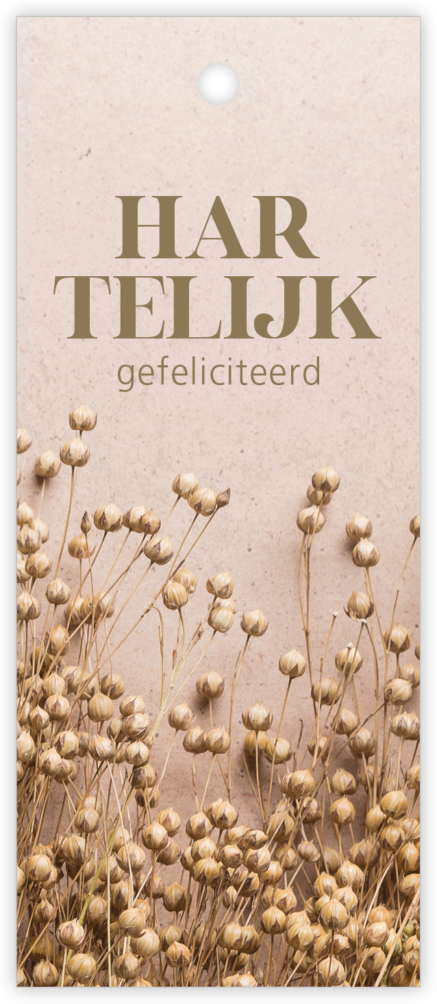 Kadokaartje 12 st.-1