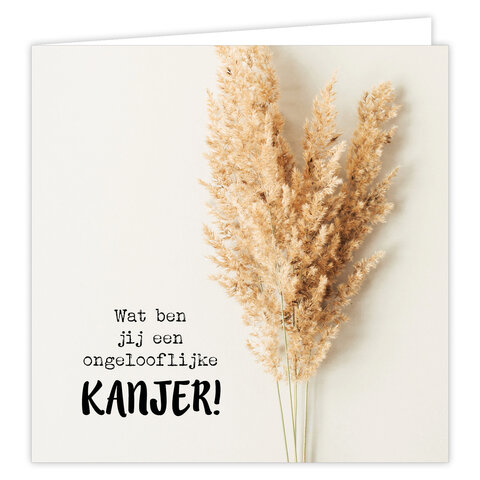 Wenskaart Kanjer 6 st.