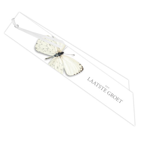 Ribbon 20 St.