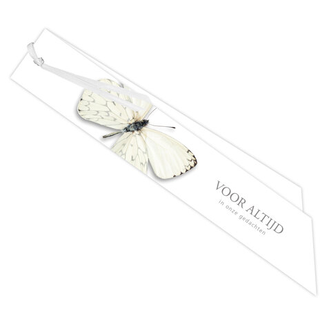 Ribbon 20 St.