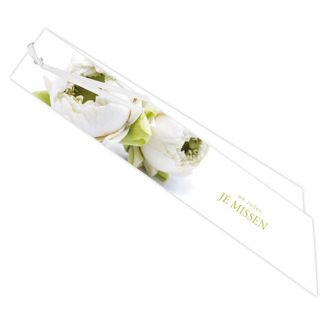 Ribbon 20 St.