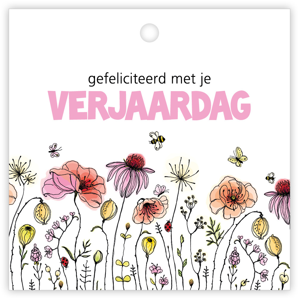 Kadokaartje Beetle 12 st. Gefeliciteerd met je verjaardag givex