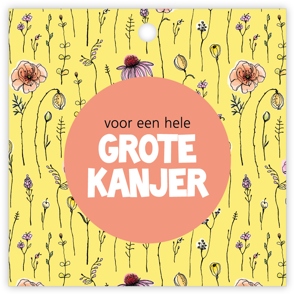 Kadokaartje 12 st.-1