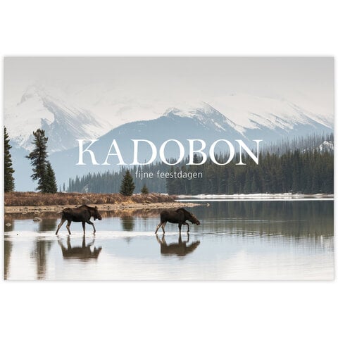 Kadobon 25 st.