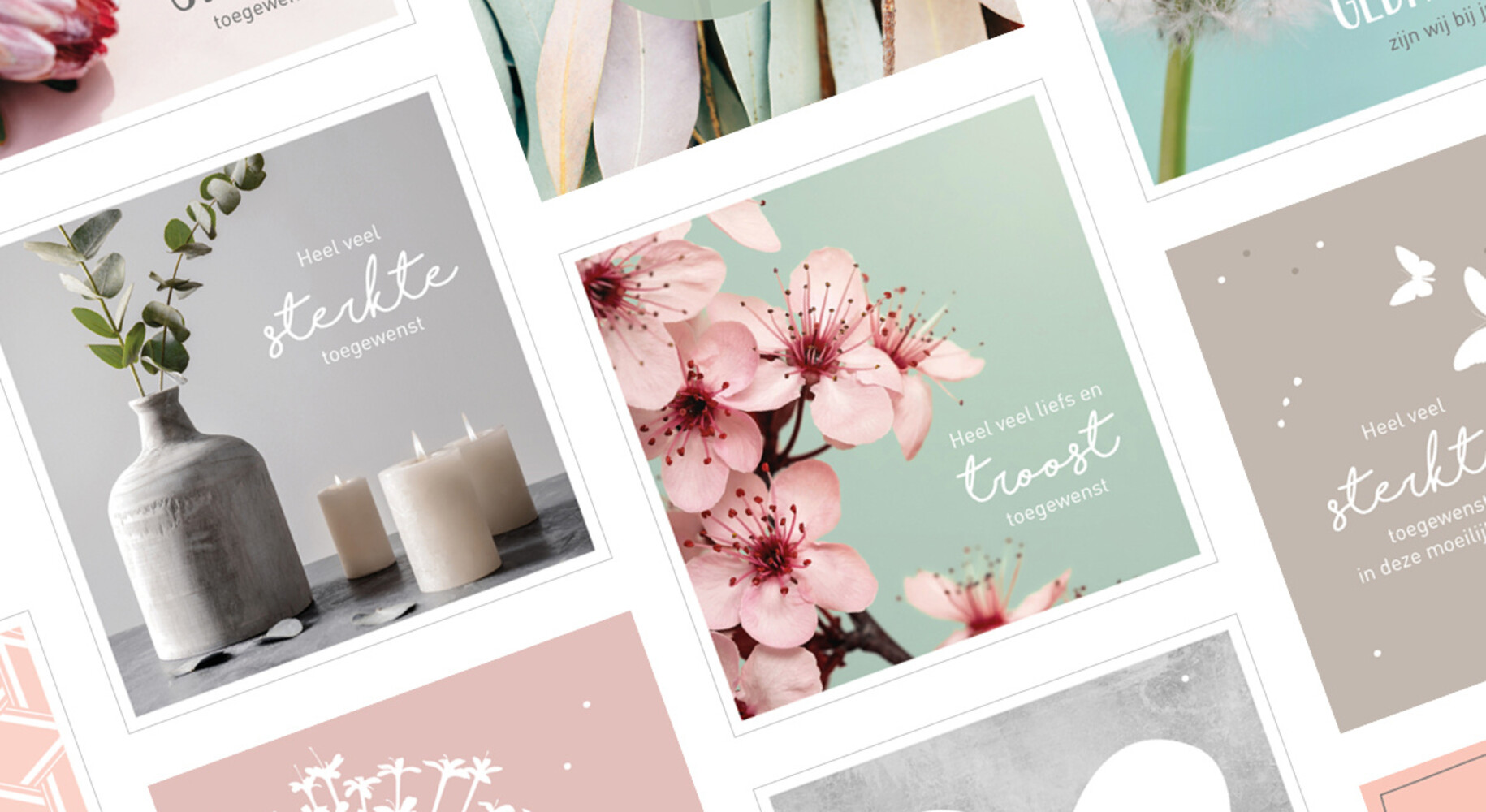 Pastel