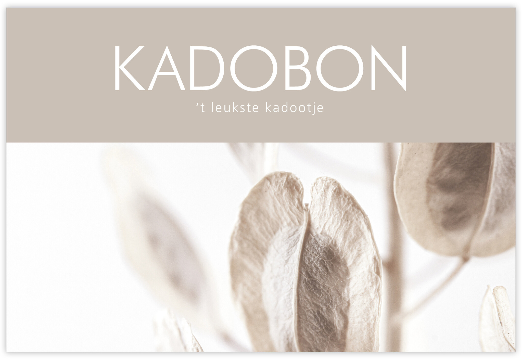 Kadobon Easy 25 st. Kadobon 't leukste kadootje - Give-X