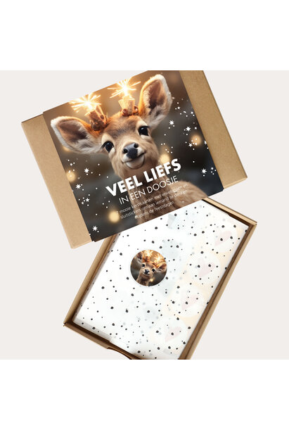 Kadodoosje wenskaarten Feestdagen 5 st.