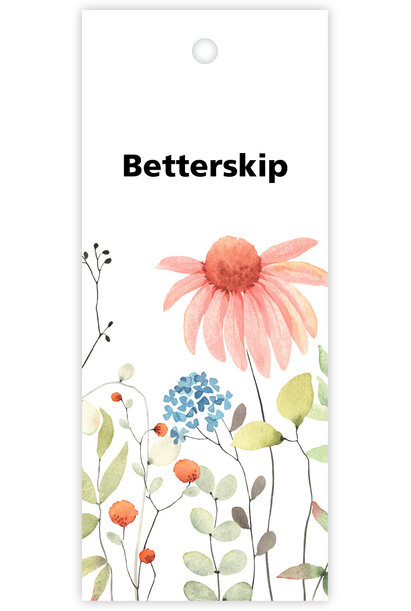 Kadokaartje 12 st.