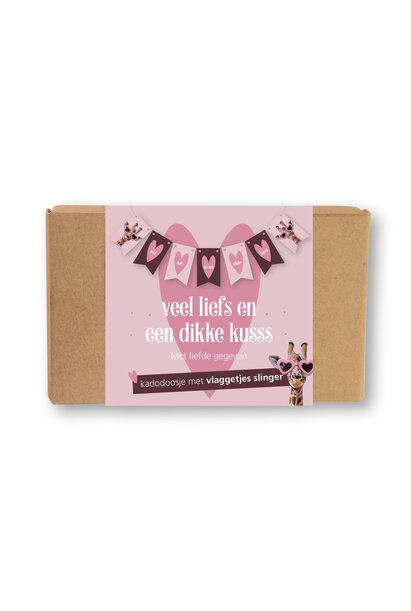 Doosje met vlaggetjes slinger 5 st.