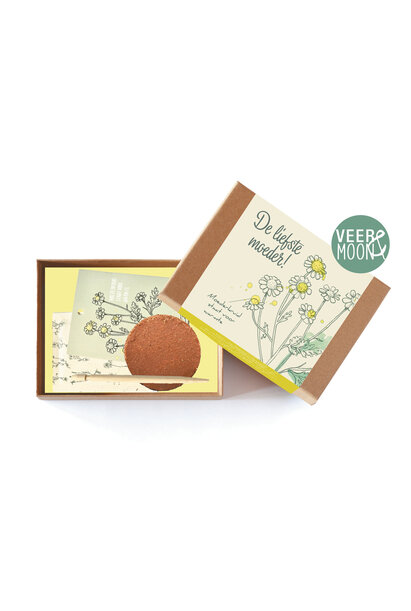 Doosje Bloemenzaadjes 10 st.