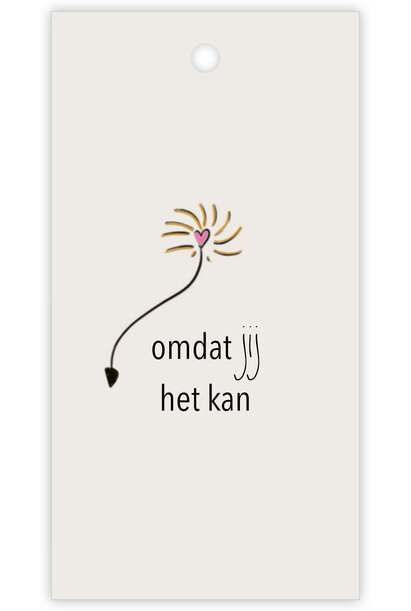 Cadeaukaartje 12 st.