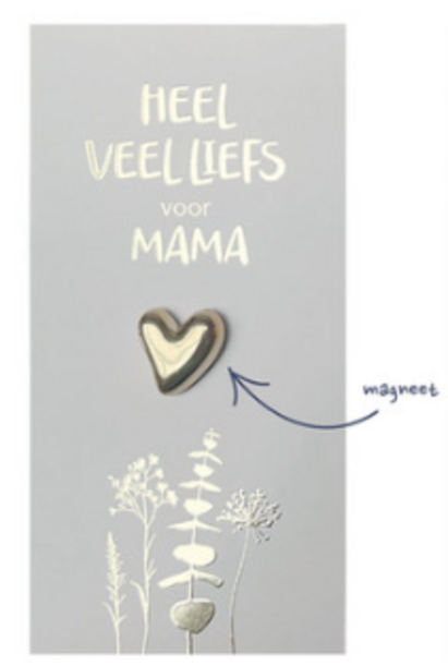 Kadozakje magneet 5 st.