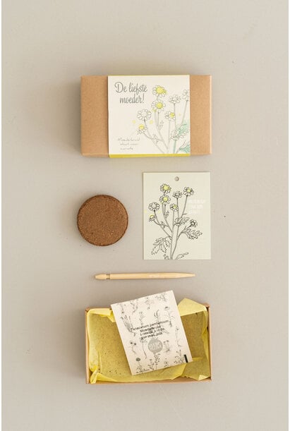 Doosje Bloemenzaadjes 10 st.