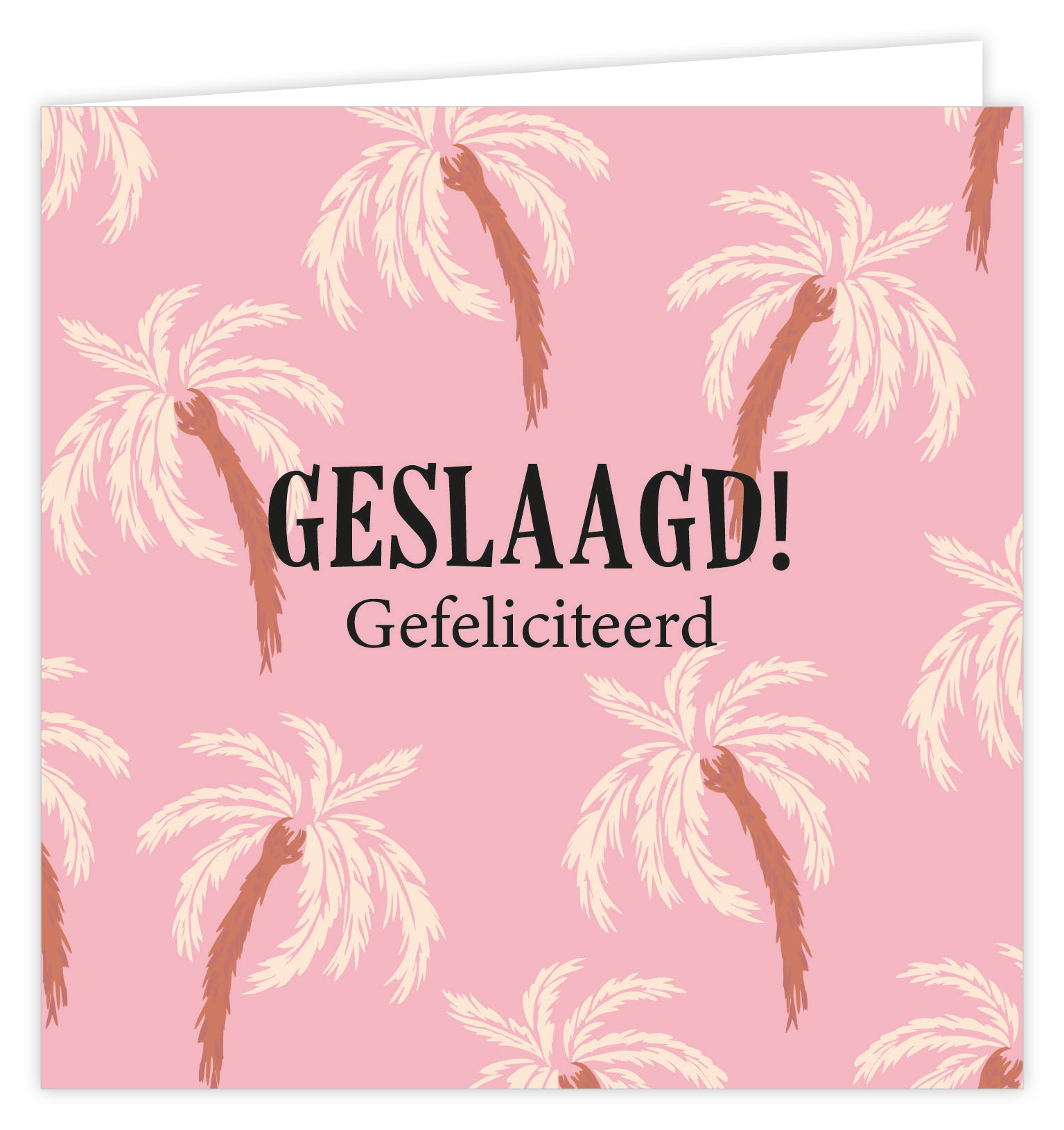 Wenskaart 6 st.-1
