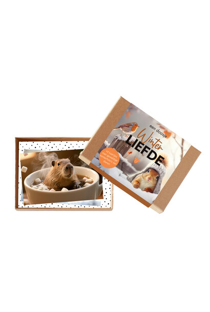 Doosje Winterliefde 10 st.