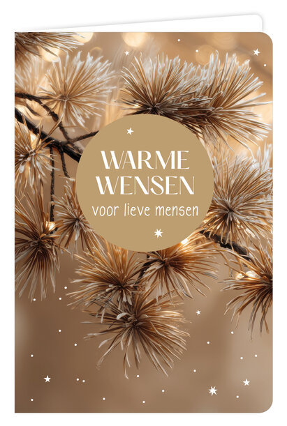 Wenskaart 6 st.