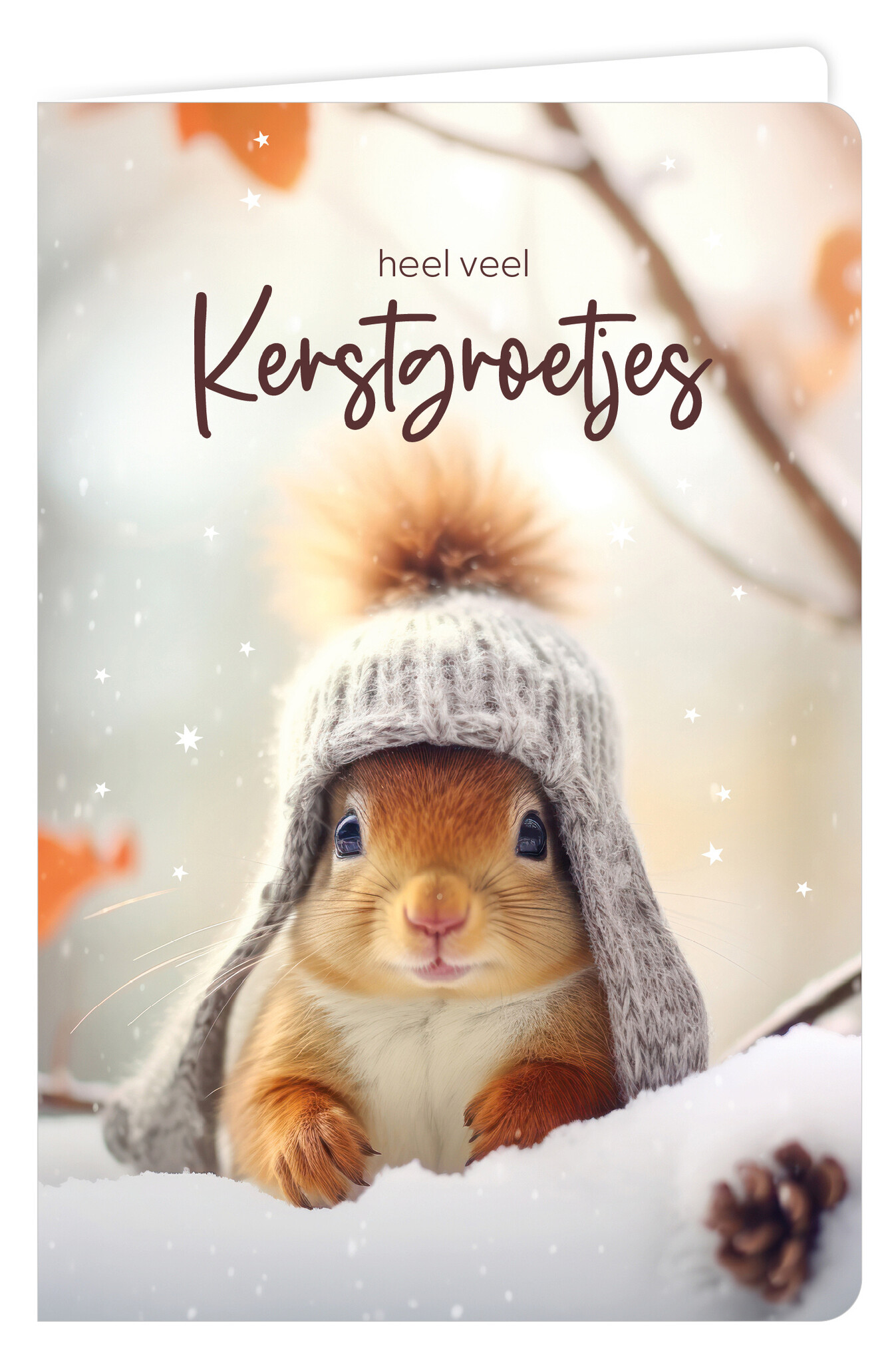 Wenskaart 6 st.-1