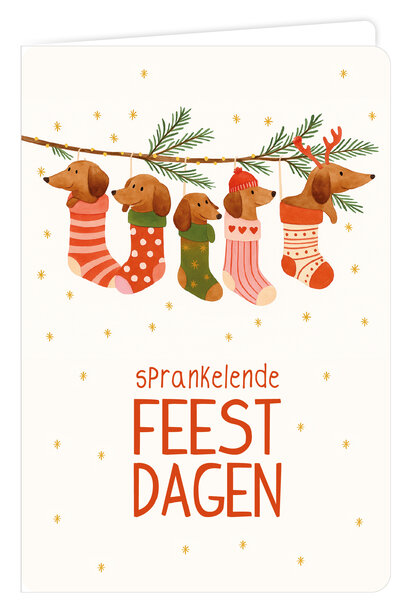 Wenskaart 6 st.
