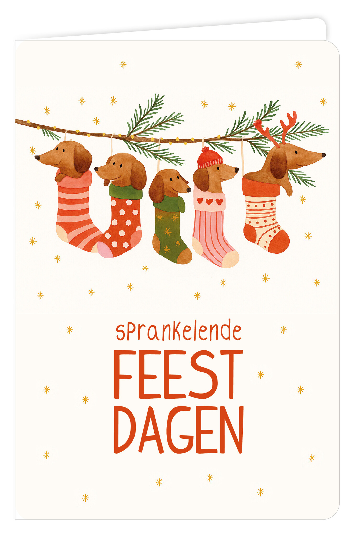 Wenskaart 6 st.-1