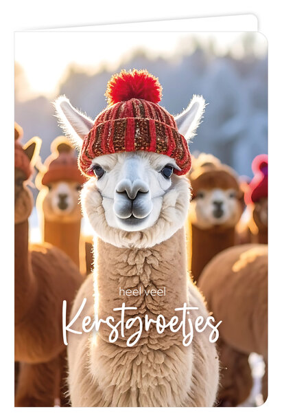 Wenskaart 6 st.
