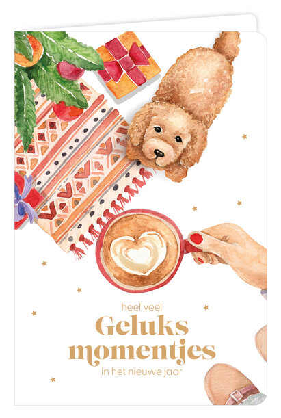 Wenskaart 6 st.