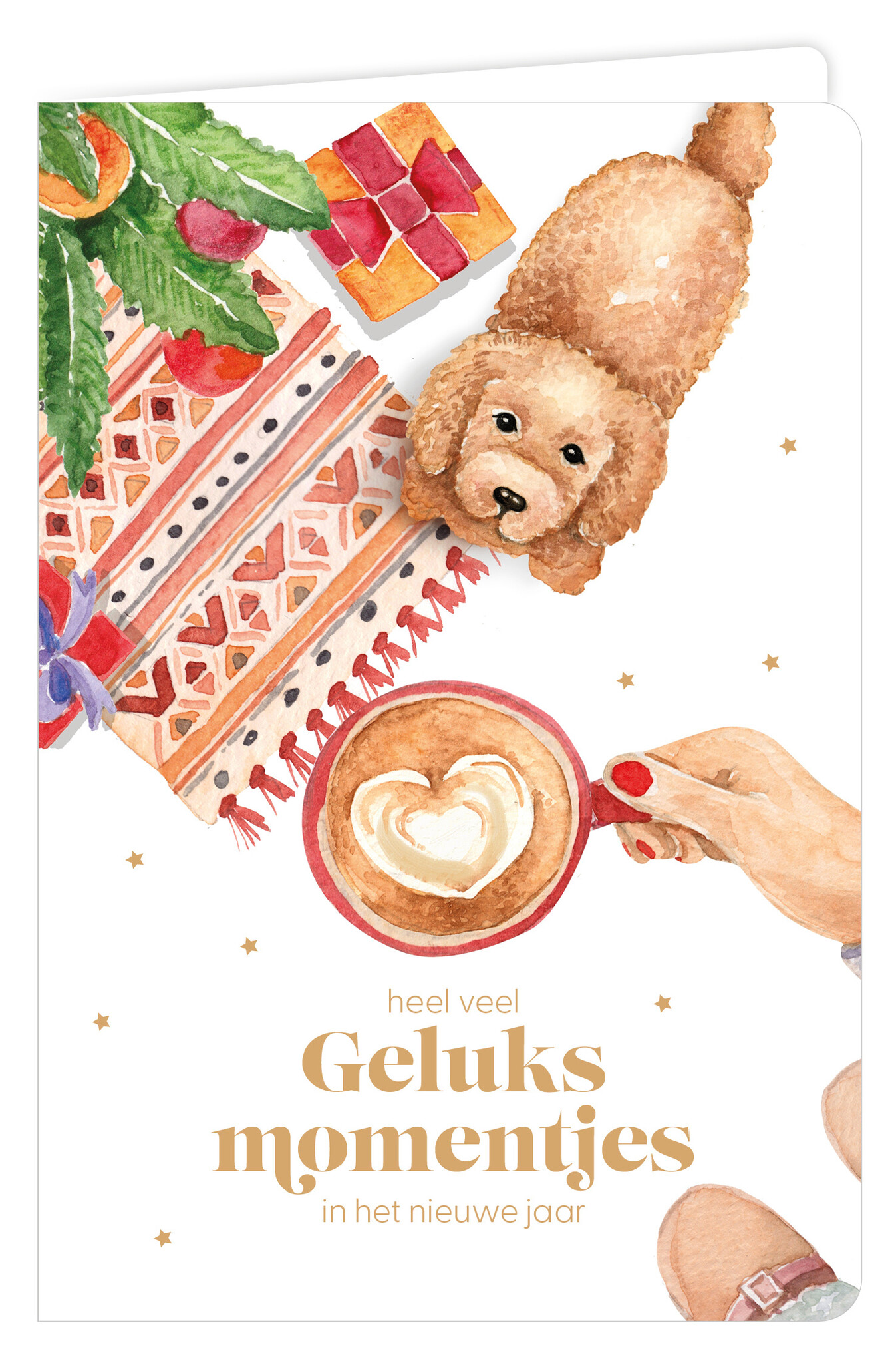 Wenskaart 6 st.-1