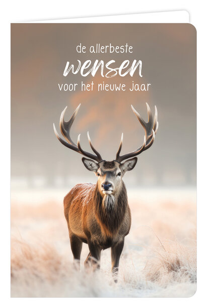 Wenskaart 6 st.