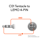 Tentacle Sync Tentacle Sync - Tentacle zu RED 4-Pin Adapterkabel