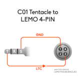 Tentacle Sync Tentacle zu RED 4-Pin Adapterkabel