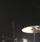 DPA 2015 Kompaktes Overhead-Mikrofon mit breiter Nierencharakteristik