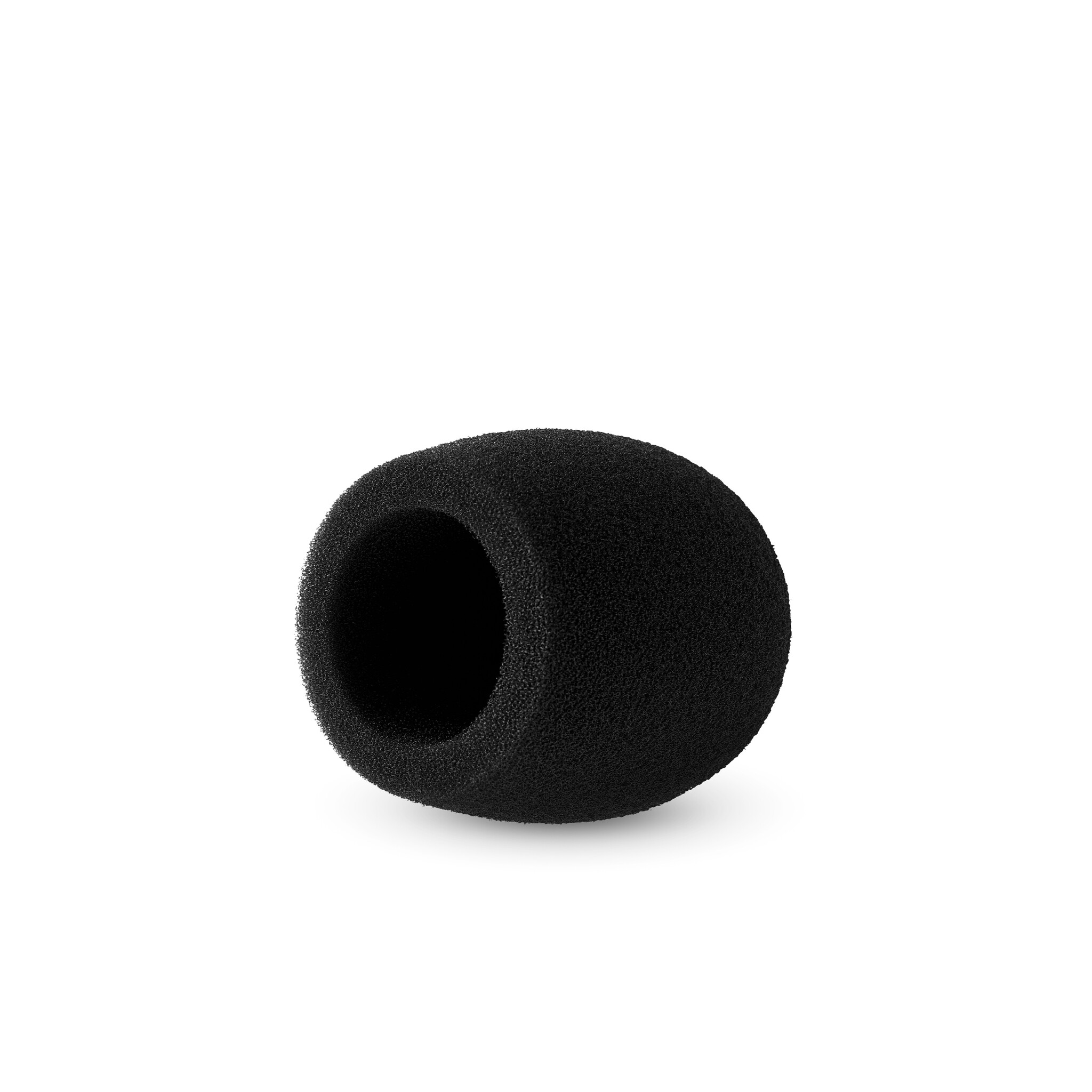 Radius Windshields Handheld Mic Foam