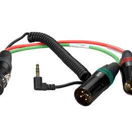 Ambient Hinterbandspiralkabelpeitsche auf XLR3M & 3,5mm TRS