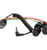Ambient Hinterbandspiralkabelpeitsche auf XLR3F & 3,5mm TRS (mischerseitig)
