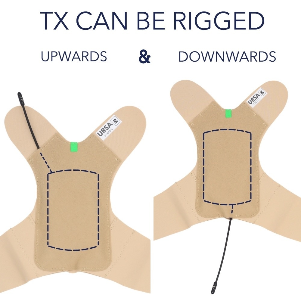 URSA Backstrap  Rückengurt mit Sendertasche