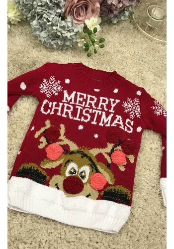 Optimisme krekel Afslachten Kersttrui kinderen | De leukste truien voor jongens en meisjes -  123kersttrui