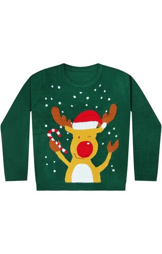 (98/104) Kersttrui  Rendier Kerstmuts Zuurstok Groen - Kinderen 
