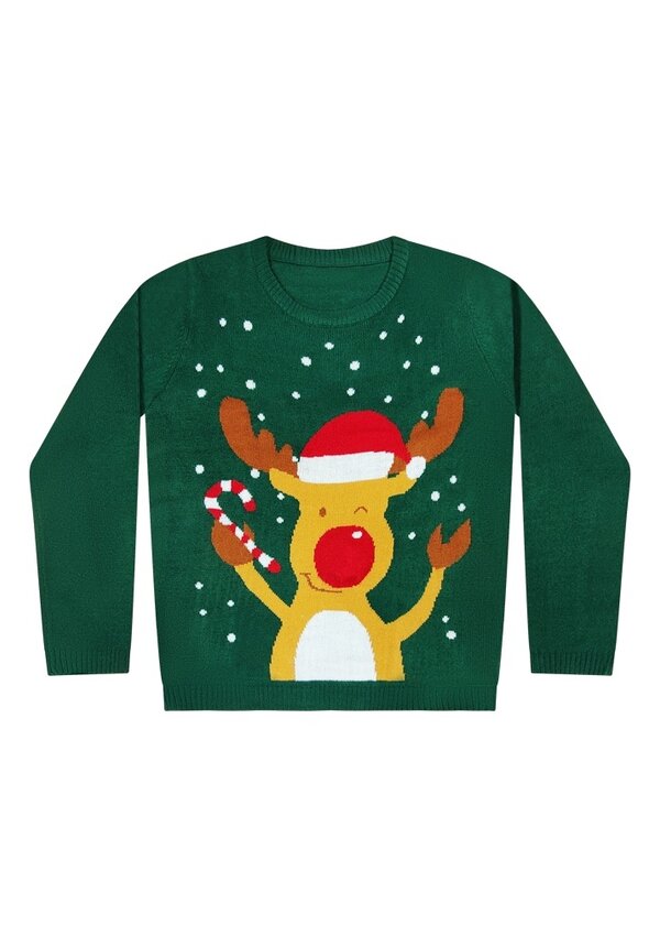 Kersttrui  Rendier Kerstmuts Zuurstok Groen - Kinderen