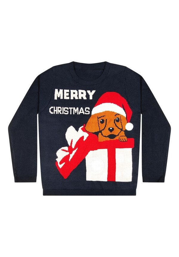 Kersttrui Merry Christmas Hond Cadeau - Meisjes
