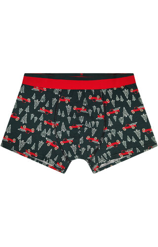 Boxershort Kerstboom Auto - Heren 