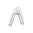 Solide Solide professioneel platform dubbele toegang 2 x 7 treden 1.75m