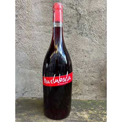 Sebastien David L’hurluberlu