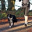 Trixie Waist Jogging Belt with Leash